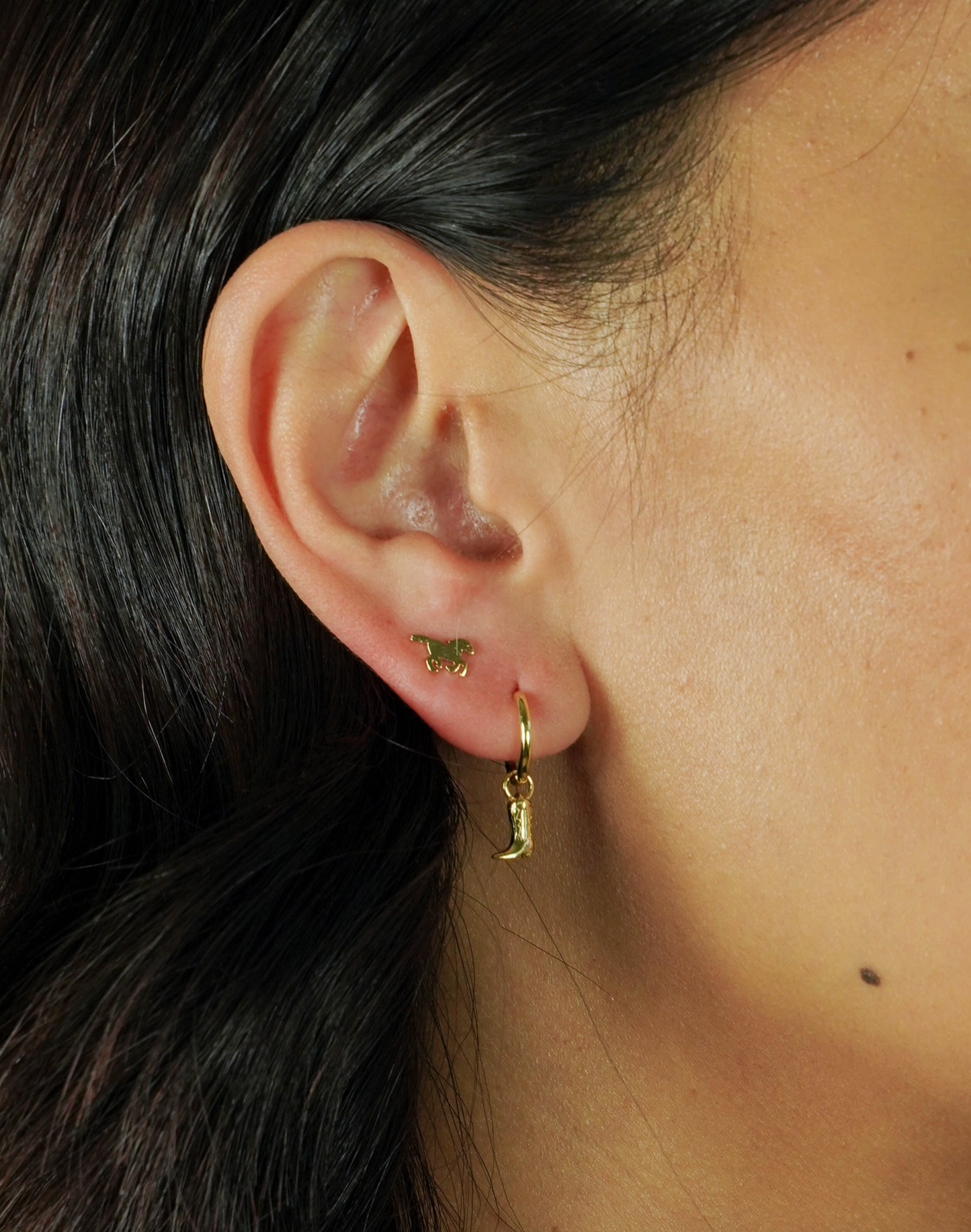 Sadie Western Earrings Set of 4