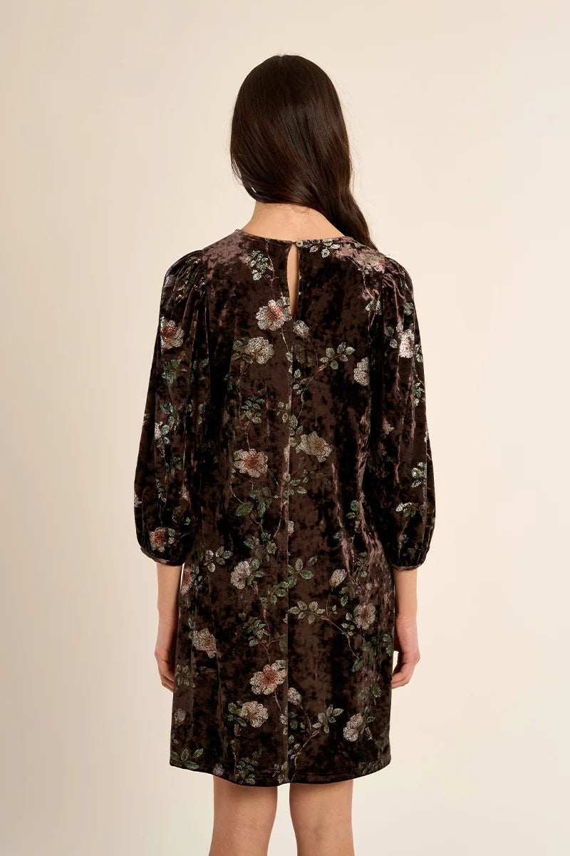 Velvet dress with balloon sleeves - Brown