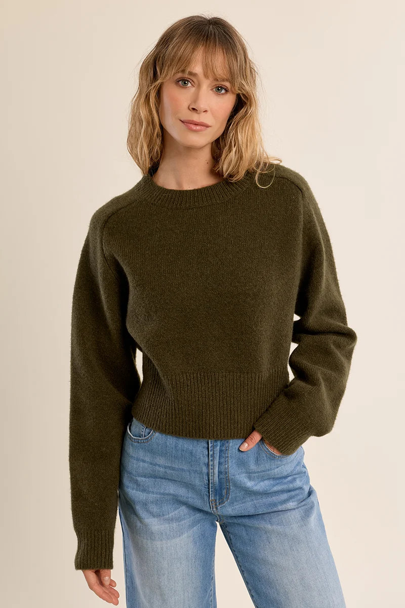 Ribbed Crop Sweater - Khaki