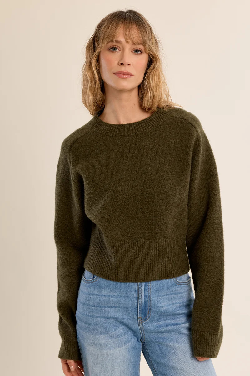 Ribbed Crop Sweater - Khaki